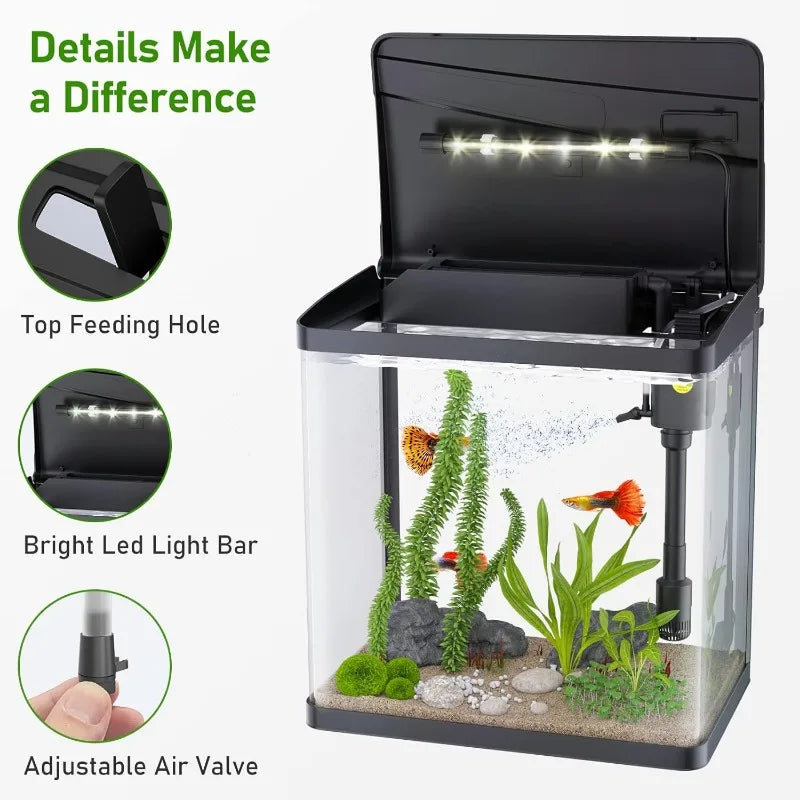 3 Gallon Glass Aquarium, 3 in 1 Fish Tank with Filter and Light, Desktop Small Fishes Tank for Betta Fish, Shrimp, Goldfish