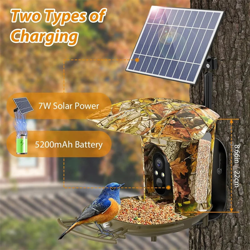 Smart Bird Feeder Camera Solar Powered Bird Watching Camera Wireless Outdoor 1080P HD 7W Solar Panel Bird Species