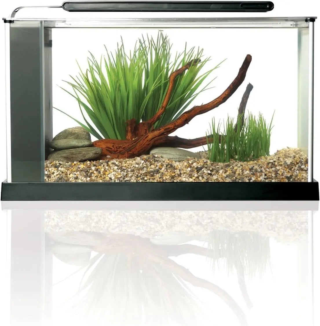 Aquarium Kit with LED Lighting and 3-Stage Filtration System, 5-Gallon