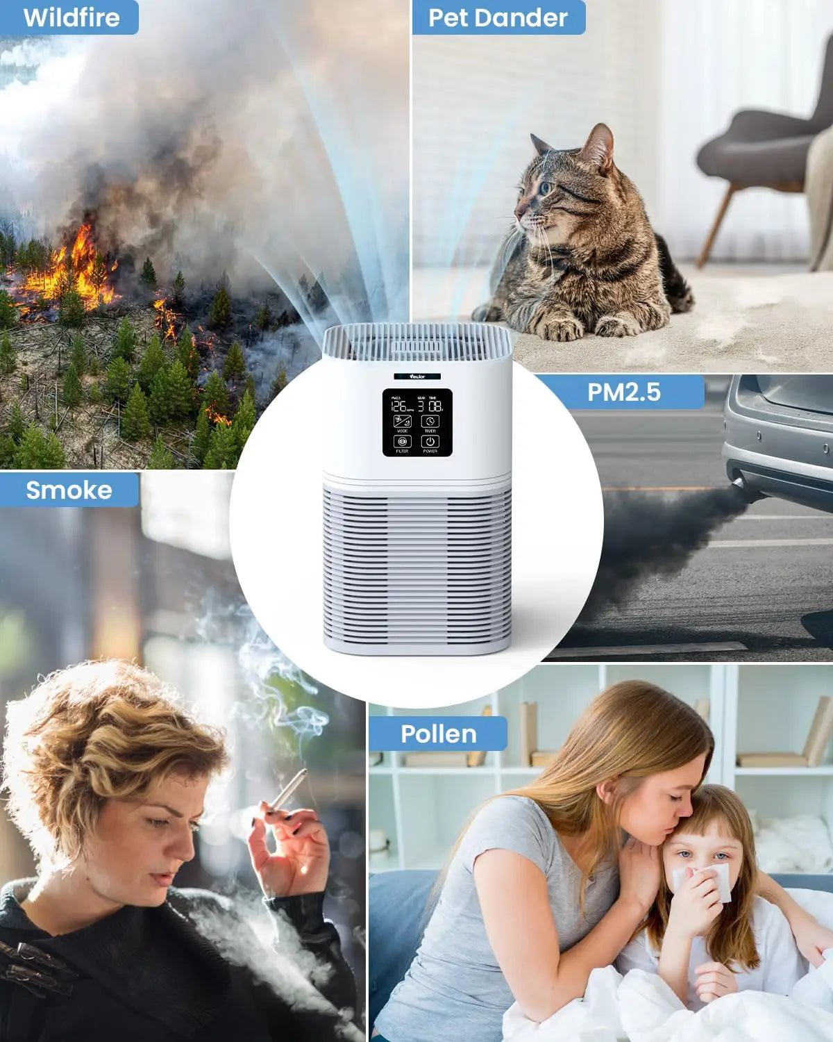 2 in 1 Air Purifier for Home Allergies Pets Hair Odor Eliminators