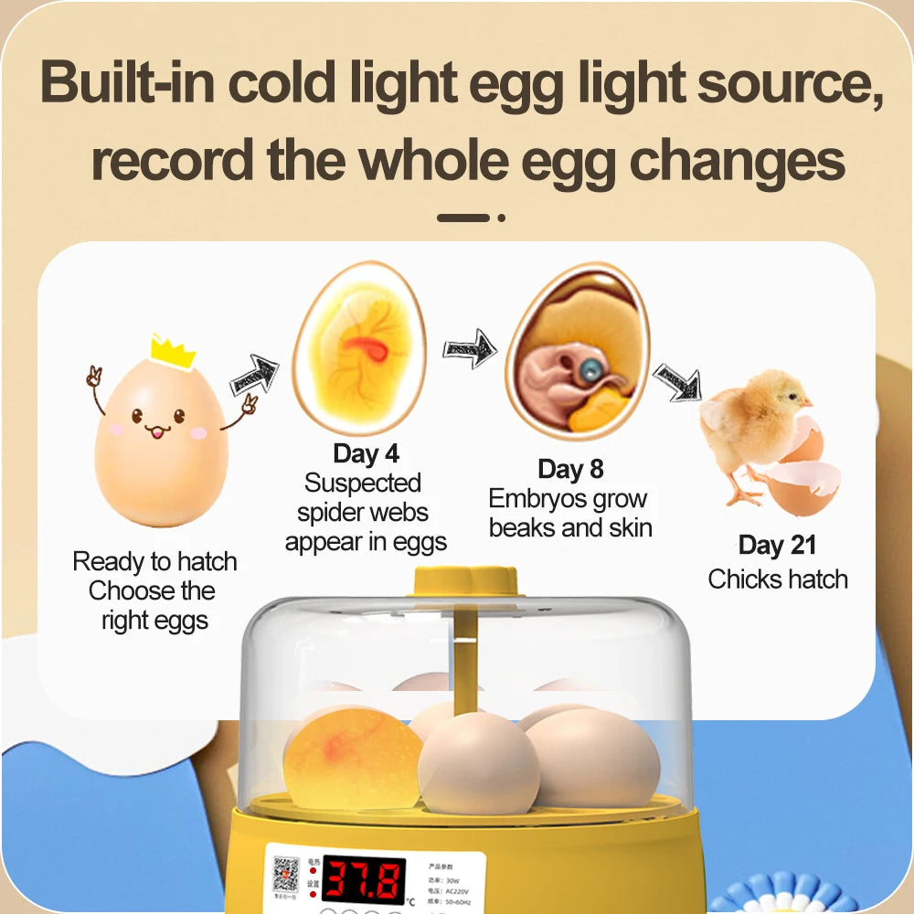 Mini Egg Automatic Incubator Home Brooder Cute Cartoon Automatic Incubator Electric for Chicken Birds Duck Goose 6 Eggs