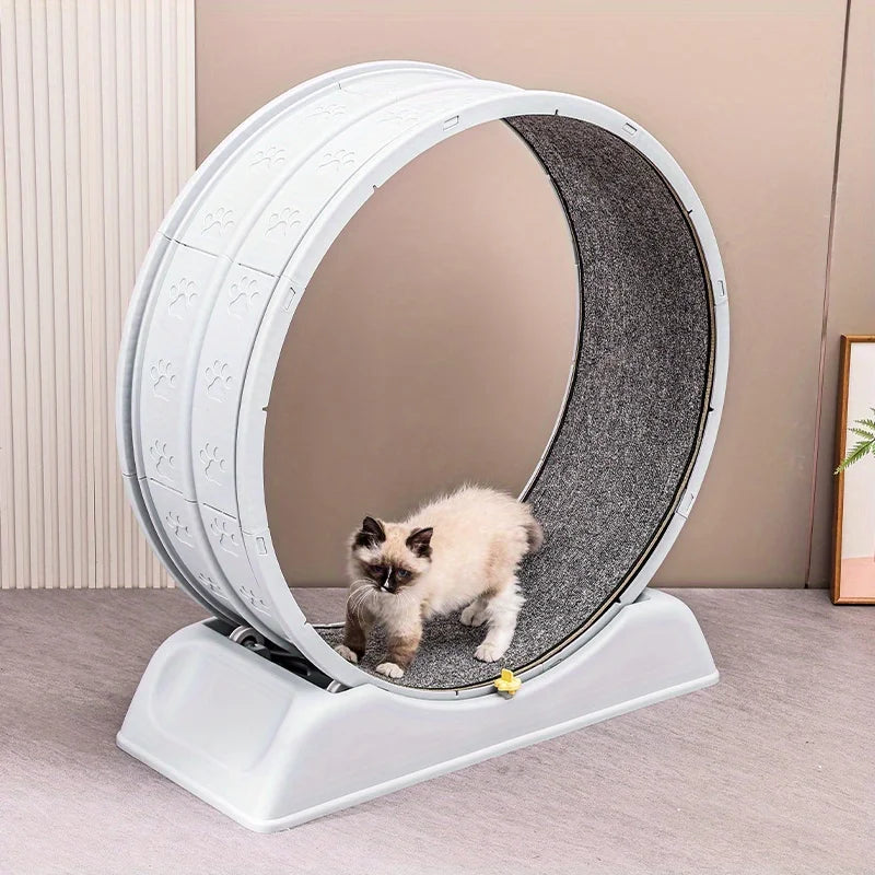 treadmill for cats at home and small dogs, easy-to-assemble exercise rollers for cats