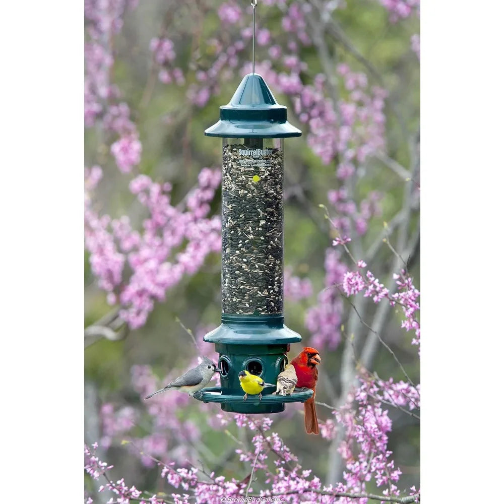 Squirrel-proof Bird Feeder w/Cardinal Ring and 6 Feeding Ports, 5.1-pound Seed Capacity, Adjustable, Pole-mountable , Green