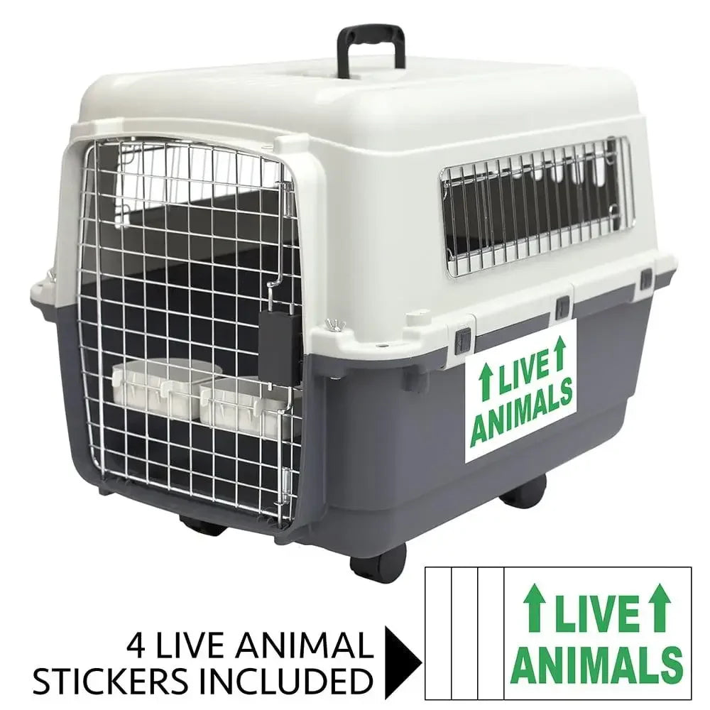 Plastic Dog Carrier Airline Approved Kennel