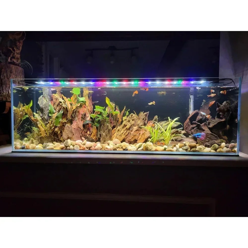 11 Gallon Low Iron Glass Bookshelf Aquarium (31.89" x 7.87" x 9.84")