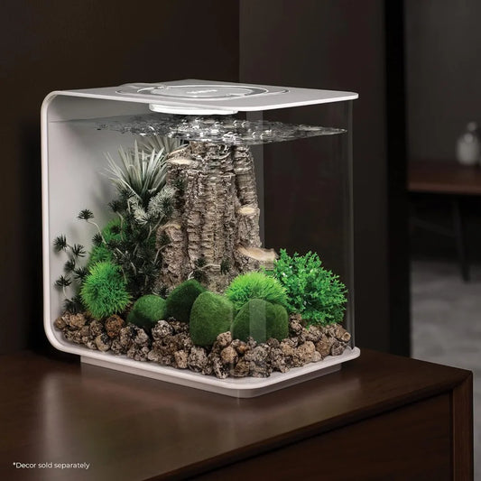 Acrylic Aquarium With White LED Light Modern Tank for Tabletop Display