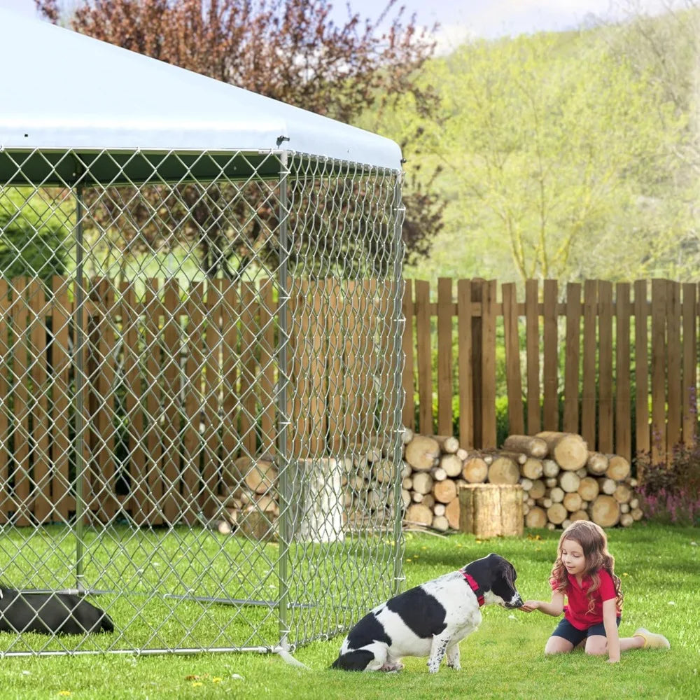 Large Dog Kennel Outside with Roof