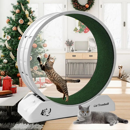 Cat Treadmill Wheel Exerciser for Kitty’s Longer Life Running Wheel With Carpeted Runway