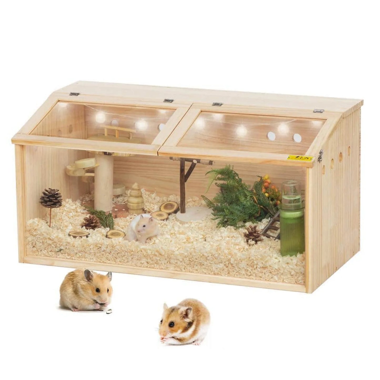 US Wooden Hamster Cage Habitat with Visible Acrylic Boards