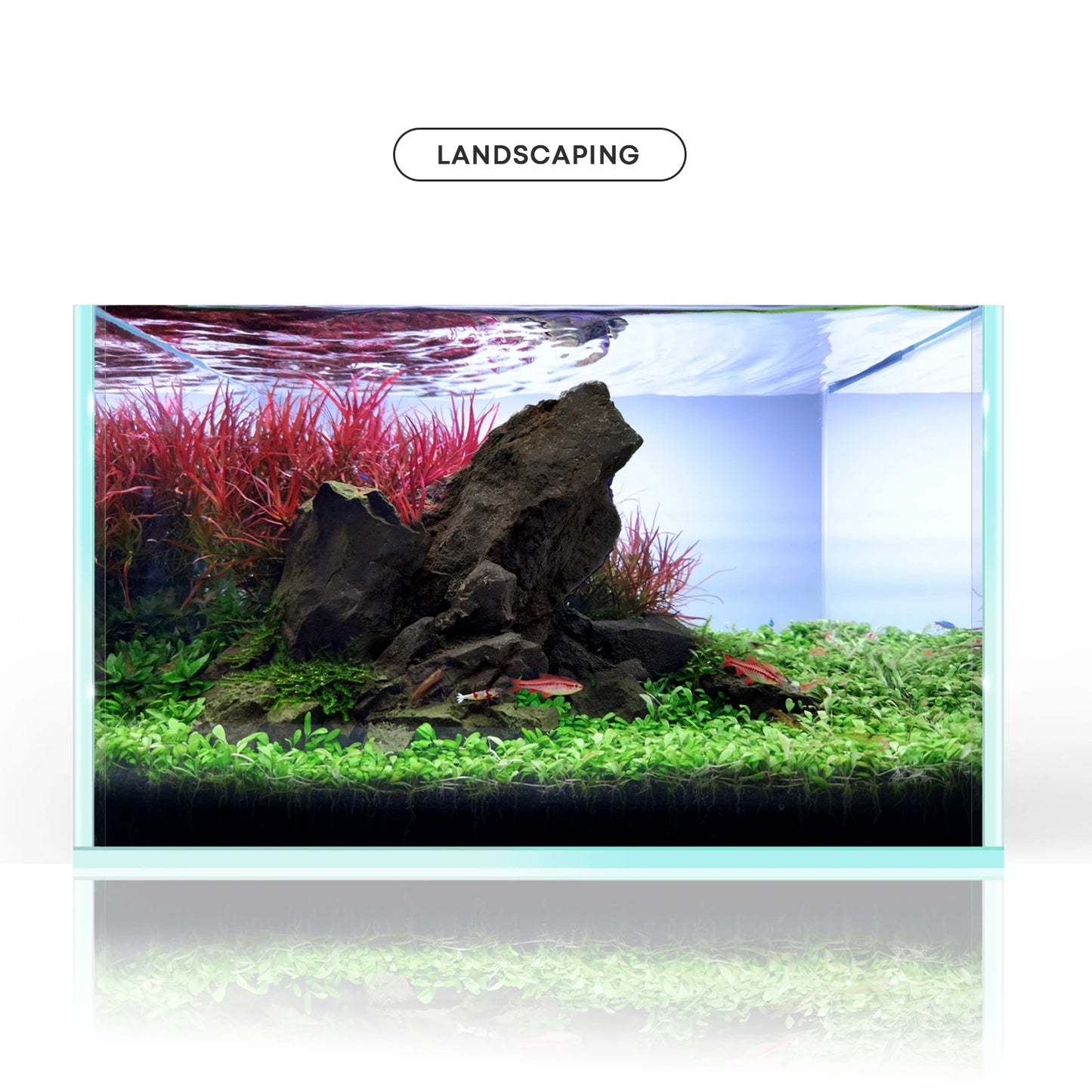 Resin Manten Stone and Driftwood Model PH Nature Aquarium Rocks for aquascaping, Hardscape