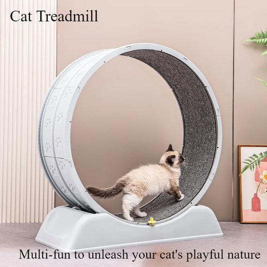 treadmill for cats at home and small dogs, easy-to-assemble exercise rollers for cats