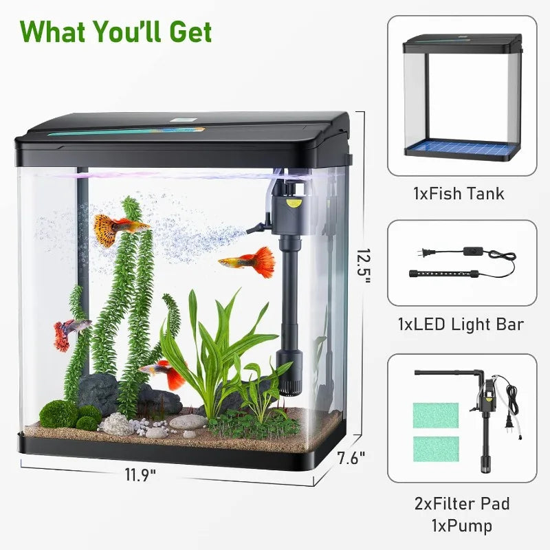 3 Gallon Glass Aquarium, 3 in 1 Fish Tank with Filter and Light, Desktop Small Fishes Tank for Betta Fish, Shrimp, Goldfish