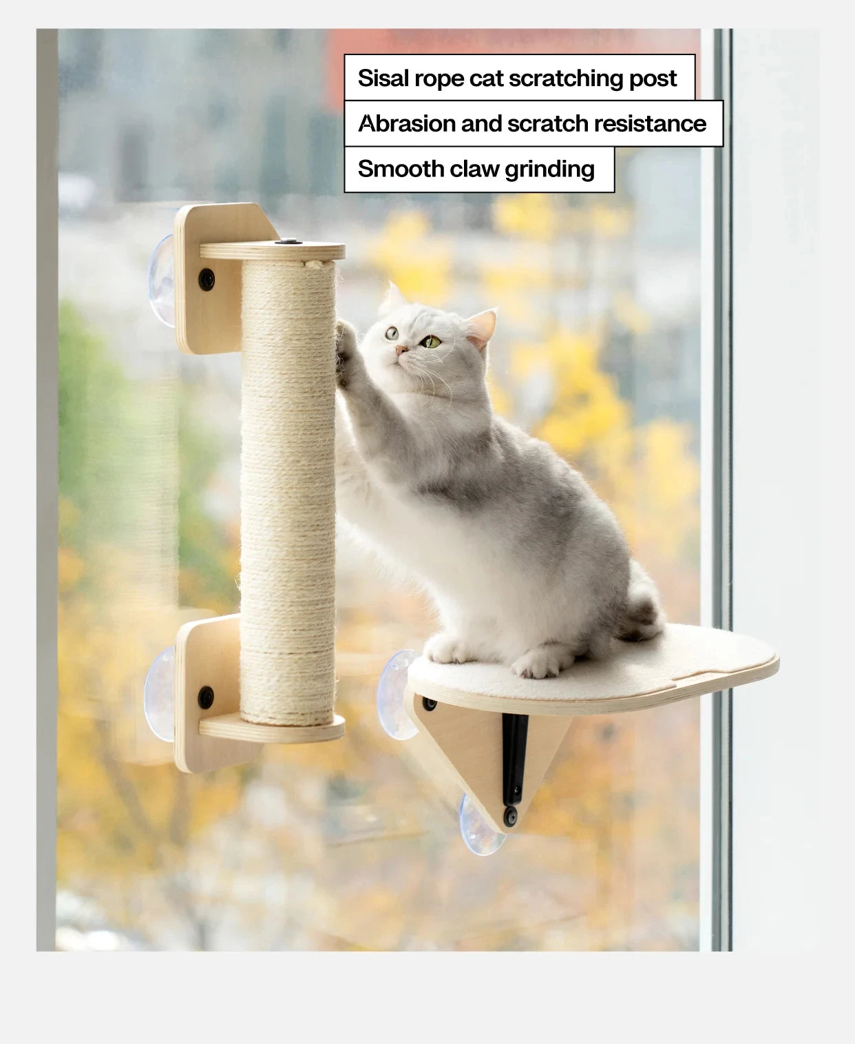 Cat Climbing Frame Cat Window Jumping Climbing Platform Glass Suction Cup Wall Shelf Cat Scratching Post Set