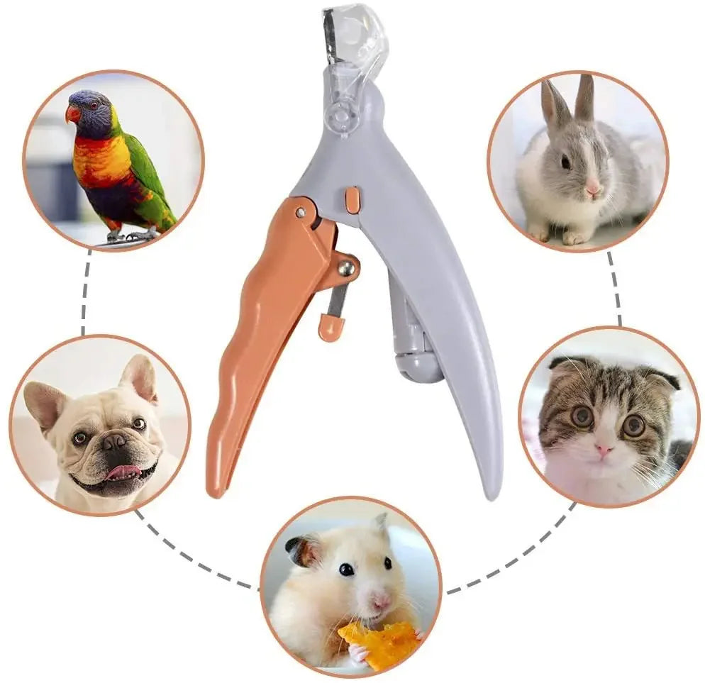 Professional Pet Nail Clipper with LED Light Dog Cat Groomin Tool Scissors Nail Toe Claw Scissors Trimmer Animal Pet Supplies