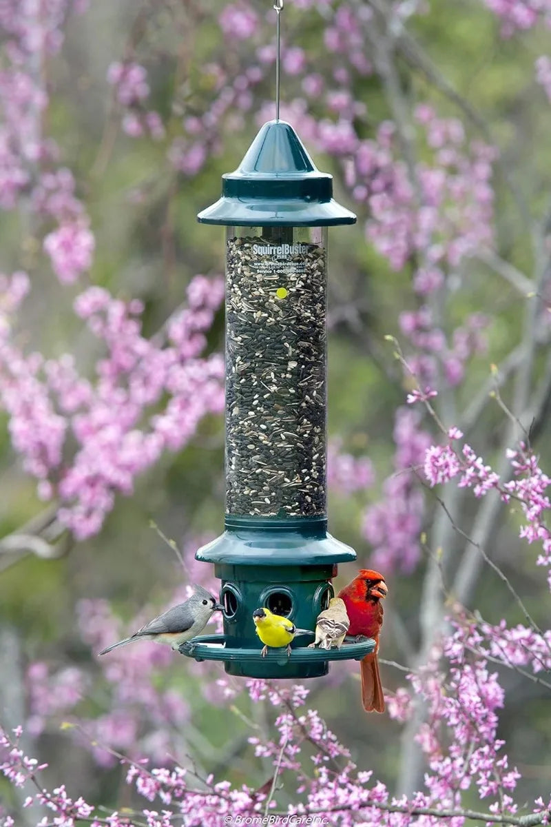 Squirrel Buster Plus Squirrel-proof Bird Feeder w/Cardinal Ring and 6 Feeding Ports, 5.1-pound Seed Capacity, Adjustable, Green