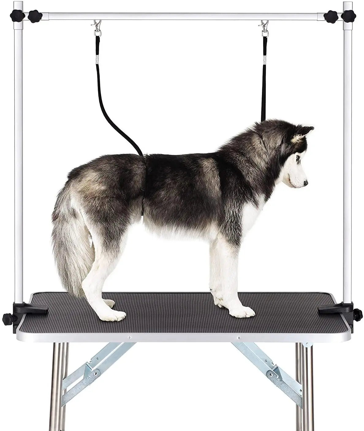 Professional Dog Pet Grooming Table Adjustable