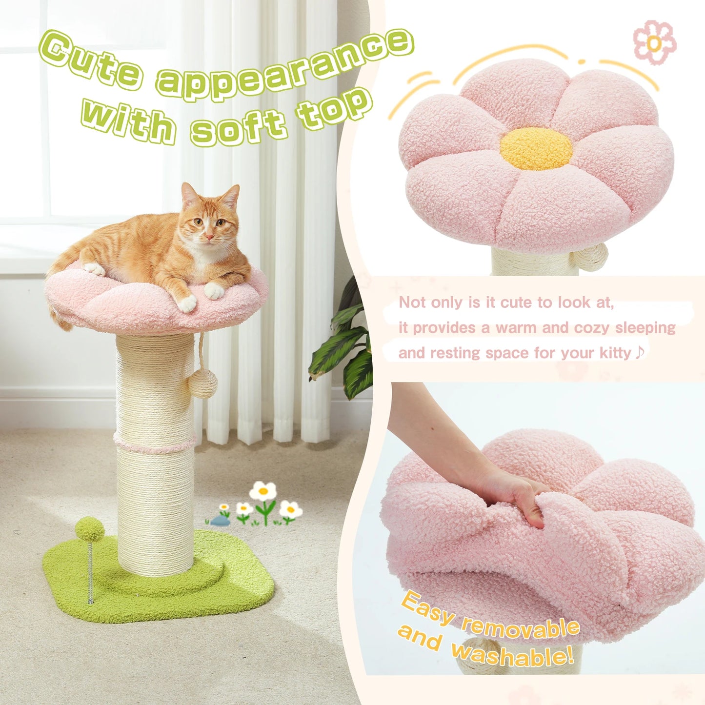 Small  Cat Scratching Post