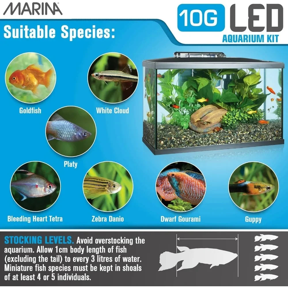 LED Aquarium Kit, 10 gallon