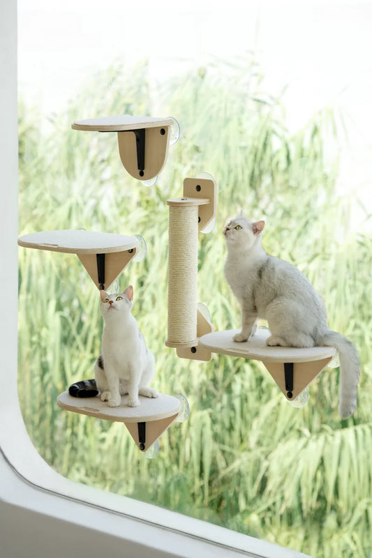 Cat Climbing Frame Cat Window Jumping Climbing Platform Glass Suction Cup Wall Shelf Cat Scratching Post Set