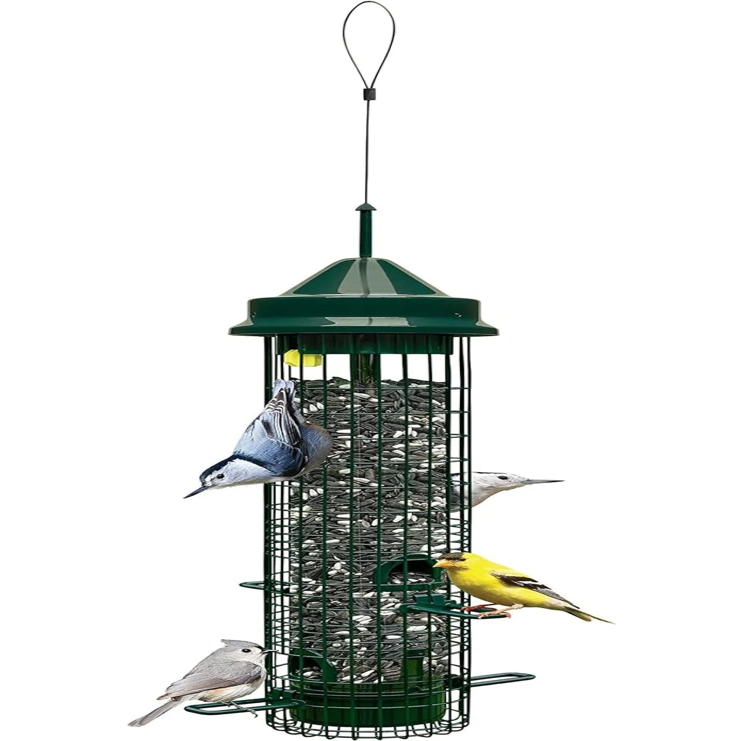 Squirrel Buster Classic Squirrel-proof Bird Feeder w/4 Feeding Ports, 2.4-pound Seed Capacity