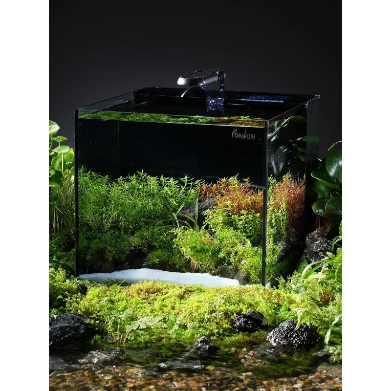 5 Gallon Fish Tank Kit