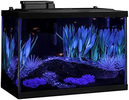 Aquarium 20 Gallon Fish Tank Kit, Includes LED Lighting and Decor