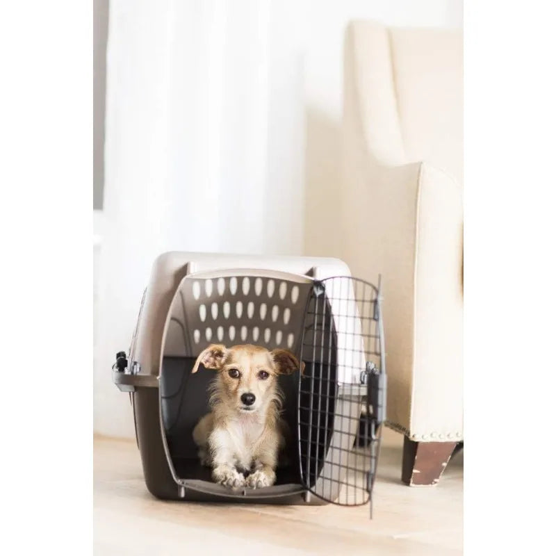 Two-Door Small Dog & Cat Carrier Top or Front Loading