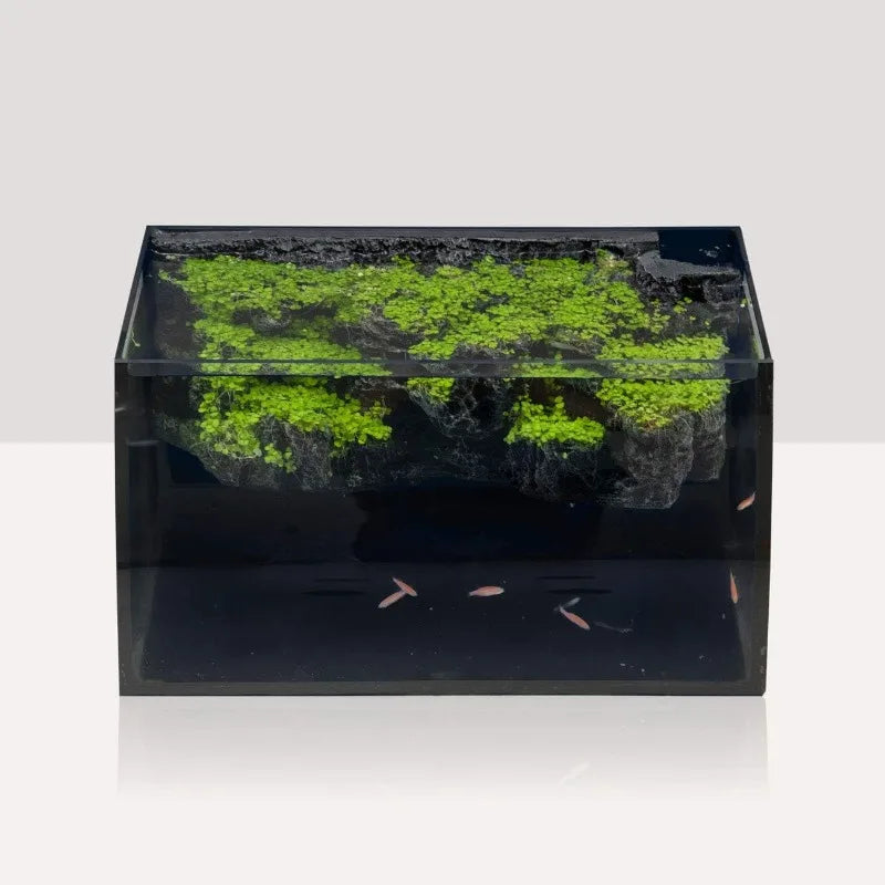 8 Gallon LED Glass Aquarium Kit for Starters with 7W Power Pump, 18W Colored led Light