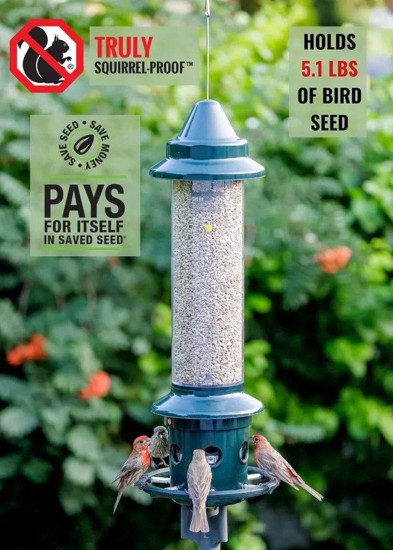 Squirrel Buster Plus Squirrel-proof Bird Feeder w/Cardinal Ring and 6 Feeding Ports, 5.1-pound Seed Capacity, Adjustable, Green