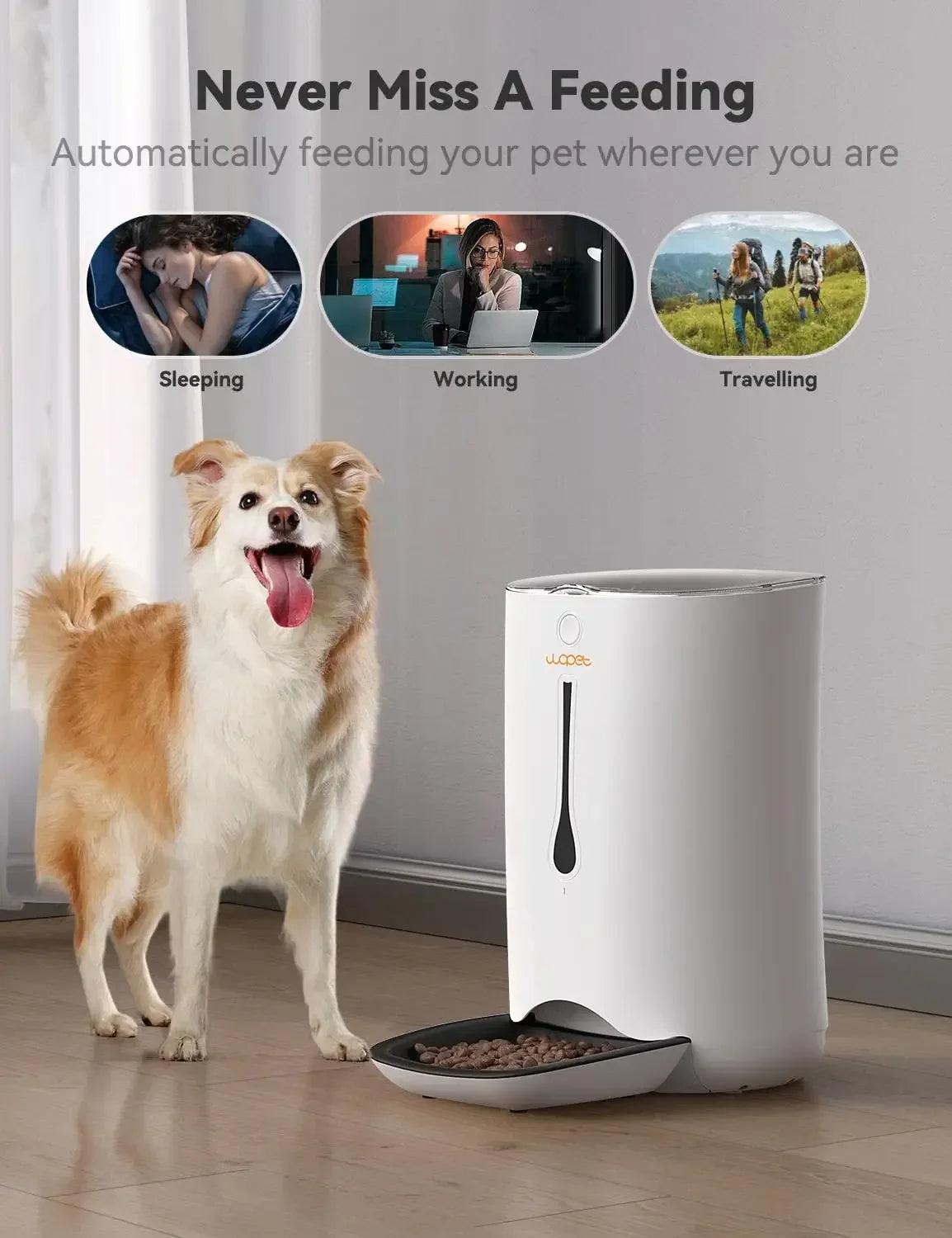 Automatic Dog Feeder Pet Food Dispenser for Cats and Dogs