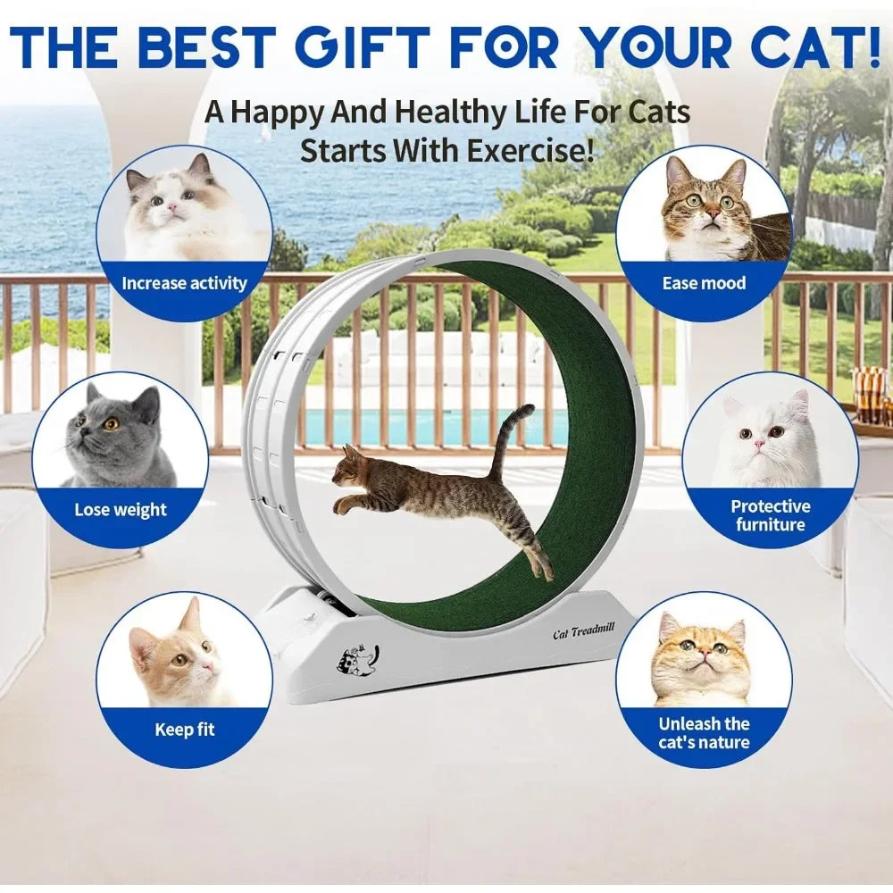 Cat Treadmill Wheel Exerciser for Kitty’s Longer Life Running Wheel With Carpeted Runway