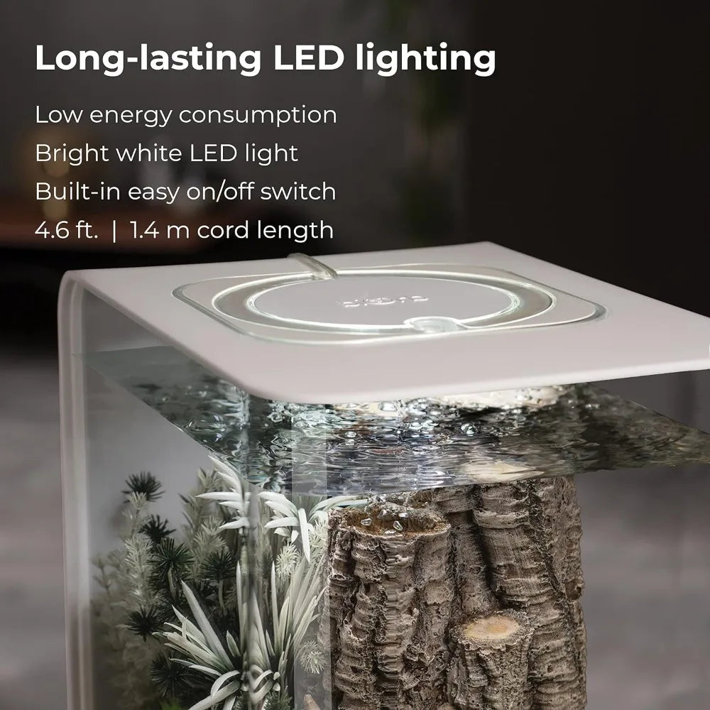 Acrylic Aquarium With White LED Light Modern Tank for Tabletop Display